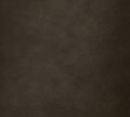 Burnished, Wolf Gray